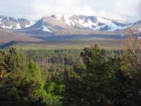 View of Cairngorms