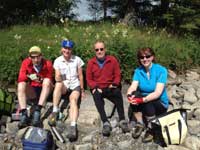 picnic in the sun