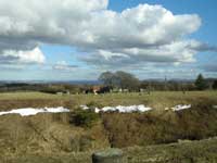 Fake stone circle