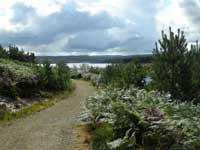 Kielder Water