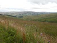 View from top of Morleyhill Fell