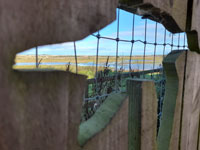 Hide at Strathbeg visitor centre